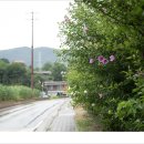 팔괴2리마을회관 이미지