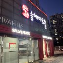 공연 세바여 데프콘어때요 후기 + 세상을 바꾸는 여자들 뭐하는 곳?