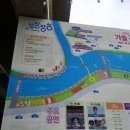 장성군청 | 장성 황룡강 꽃길, 예전만 못한 느낌? 행사 전날 다녀온 솔직 후기