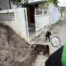 CH CLUB | 발리 여행기 ch.3 (부제 : 도파민 짱구)