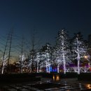 카페 플로(CAFE FLO)