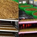 궁평목장 이미지