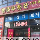 새실공인중개사사무소 이미지