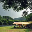 별바라기팬션 이미지