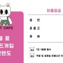 냥이 싸롱 이미지