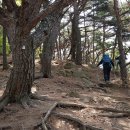 이장천약수터 이미지