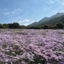 병암농원옆 이미지