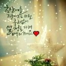 시시비비