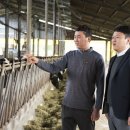 상훈축산 이미지