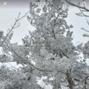 대은주유소 이미지