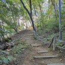 옥천 약수터 | 산성역-남한산성 남문 산행코스 편한 산행길 찾기 (251024)