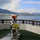 복주는돼지 이미지