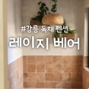 레이지베어 | [강릉 숙소]독채 자쿠지 펜션 '레이지베어' 내돈내산 후기