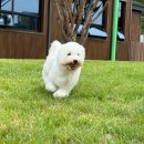 노은유치원 이미지