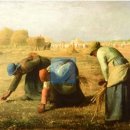 비발디사계 이미지