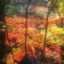 가은에정원 이미지