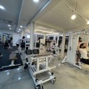 임스타핏 이미지