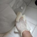 그린빌12단지 | 안산 초지동 주공그린빌12단지 악취나는 변기 백시멘트 재시공