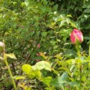 상족바다펜션 이미지