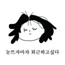 칸토피아노학원 이미지