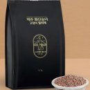 송이캣 이미지