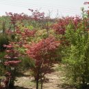 이백농장 이미지