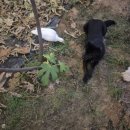 복덕농장 이미지