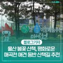 매곡천 자전거길 이미지