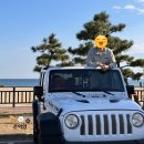 케이디젤 | JEEP 랭글러 JK 디젤 중고차 구매 후기(주의사항, 엔카, 케이카, 카바조, 출고보험, 연말정산)