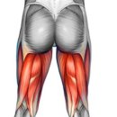 시티짐 군자 이미지