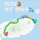 시스터필드서호점 | [7월 제주여행 Day2] 제주 한 바퀴 코스 🚗 월간레코드·김녕해수욕장·곰막식당·숙성도중문