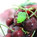 국대과일 이미지