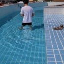 우다다애견 이미지