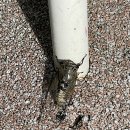 7년만의외출 이미지