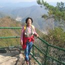 비둘기농장 이미지