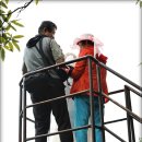 한반도면-8 이미지