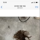 차캄헤어 이미지