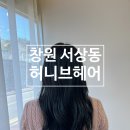창원 서상동 미용실 / 허니브헤어 염색 다크브라운