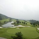 파인필드 이미지