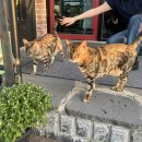 비치진 펜션 | 속초/고성 1박2일 뚜벅이 여행 일정 우정 여행 가진해수욕장 비치진펜션