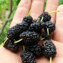 재모농장 이미지