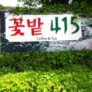 꽃밭415 이미지