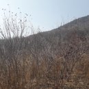 삼방농장 이미지