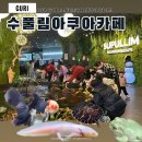 수풀림 | 노원 중랑 구리 상어가있는 이색 키즈카페 수풀림 아쿠아카페 후기
