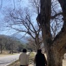 가지산라온 이미지