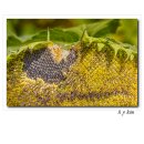 연천 호로고루 이미지