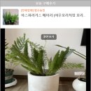 범수농장2 이미지