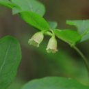 김선생안경 이미지