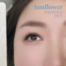썬플라워뷰티