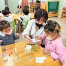 삼진어린이집 이미지